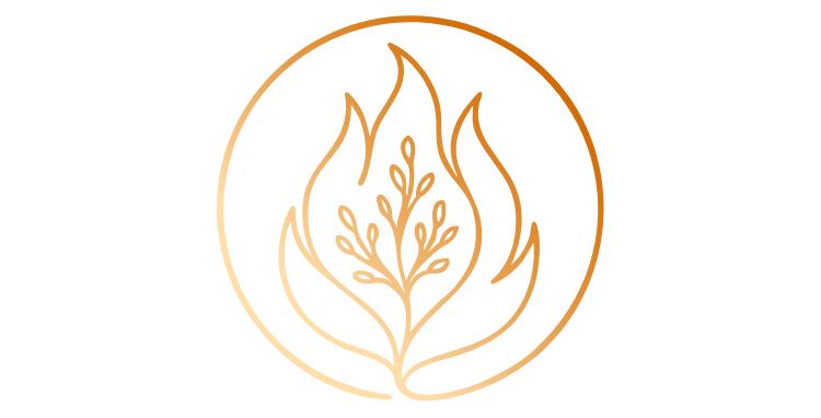 turn aside bible study for men bible study for women fiery bush